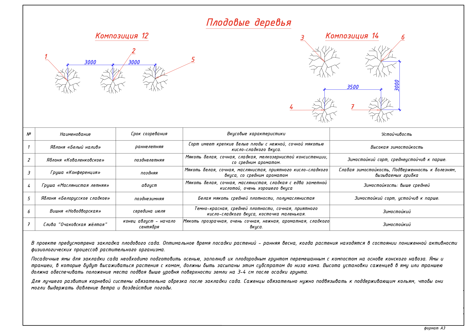 Проект ландшафтного дизайна Проект ландшафтного дизайна
